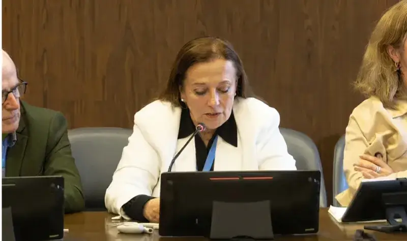 ONU: Cambios de Delcy Rodríguez son cosméticos y la represión sigue