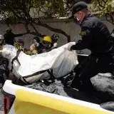 OMS advierte que la cifra de fallecidos por los sismos seguirá en ascenso
