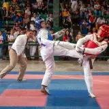 Venezuela llega a Santo Domingo 2026 con 16 taekwondistas