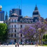 Street view of Plaza de Mayo with iconic buildings and jacaranda trees in Buenos Aires, Argentina.