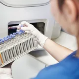A medical professional examines a tray of blood vials