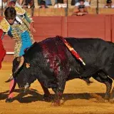 File:Juan Leal. Corrida in Seville. May 2013. Suerte de muleta.jpg