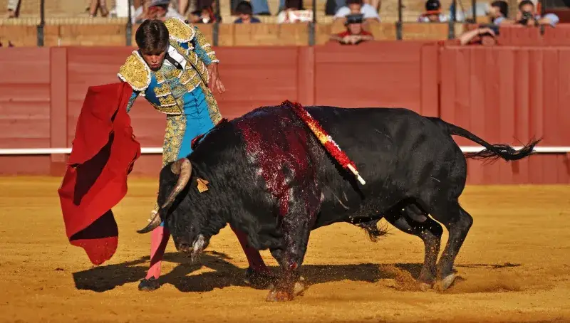 File:Juan Leal. Corrida in Seville. May 2013. Suerte de muleta.jpg