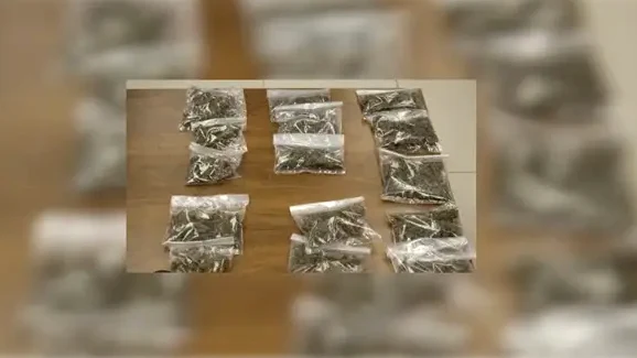 Detienen en Punta Arenas a venezolano ligado a robo violento