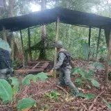 Ratifican condena de 12 años a implicado del Tren del Llano