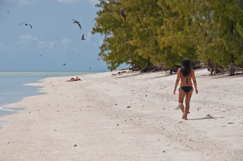 File:Rodrigues Island Beach.jpg