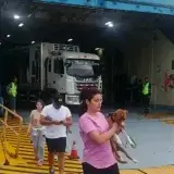 Conferry activa ruta marítima para damnificados