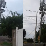 Denuncian deterioro de postes eléctricos en San Jacinto y Mara Norte