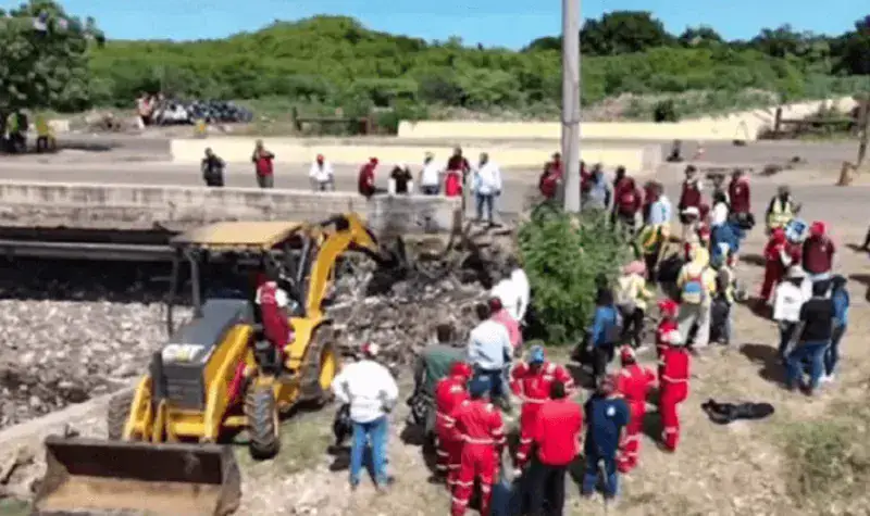 Comienzan a recuperar manglares en el Lago de Maracaibo