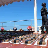 Incautan 170 kilogramos de marihuana en Chuspa
