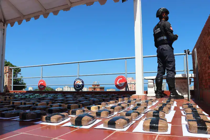 Incautan 170 kilogramos de marihuana en Chuspa