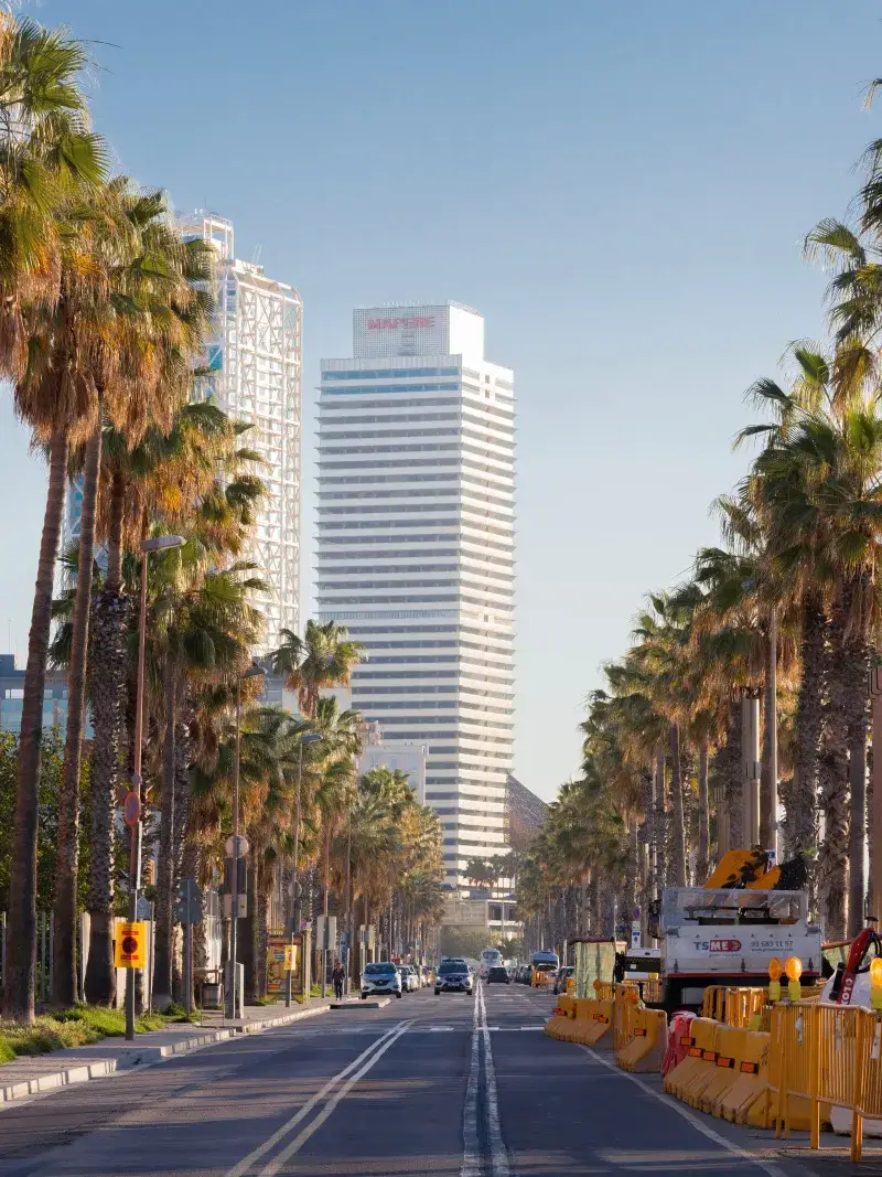 Escena urbana en Barcelona con palmeras y rascacielos en un día soleado.