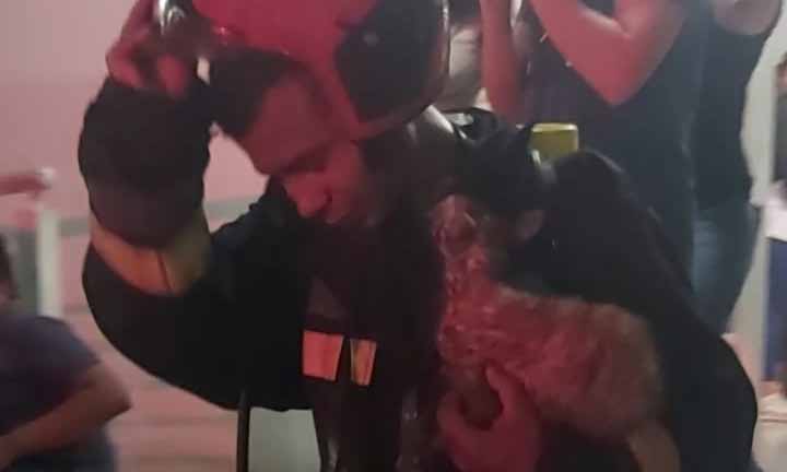 Gato sobrevive a incendio de apartamento en Tierra Negra