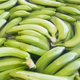 a pile of green bananas sitting next to each other