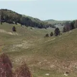 File:La Val di Tacina. Sila Piccola.jpg