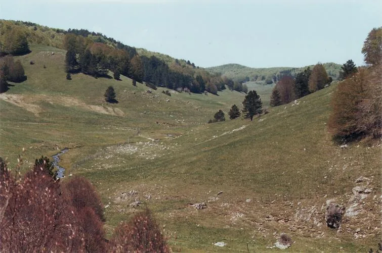 File:La Val di Tacina. Sila Piccola.jpg