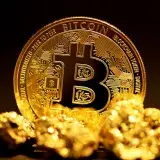A single bitcoin surrounded by raw gold pieces.