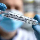 Chile activa alerta sanitaria por hantavirus en 13 regiones