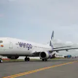Wingo abrirá vuelos directos entre Colombia y Porlamar desde el 27 de junio