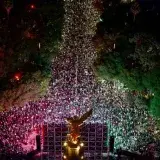 Cuatro muertos en la celebración por el triunfo de México en la capital