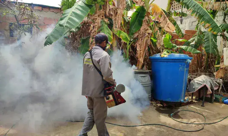 Gobernación intensifica fumigación contra el dengue en el Zulia