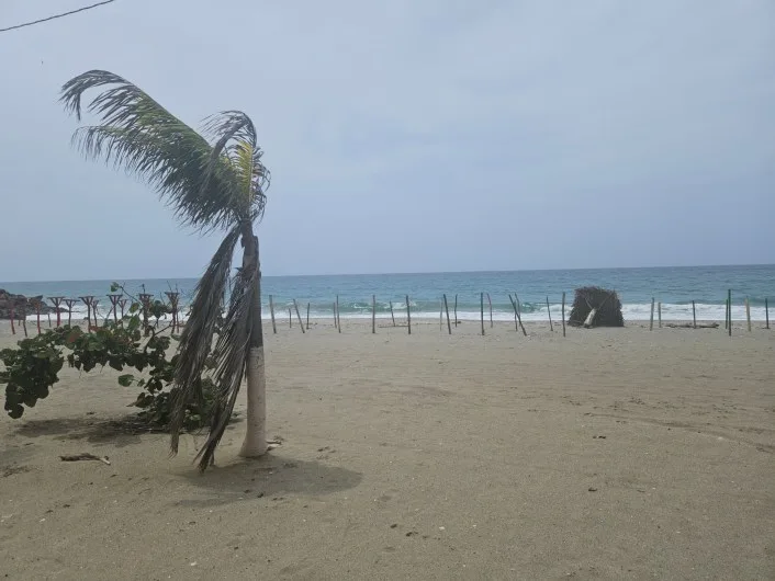 Playeros de La Guaira sobreviven reciclando chatarra