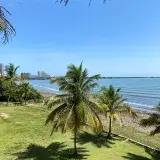 Scenic palm-lined beachfront with ocean view in Tucacas, Venezuela.