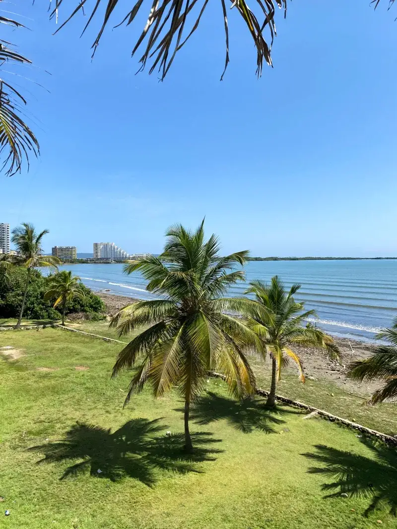 Scenic palm-lined beachfront with ocean view in Tucacas, Venezuela.