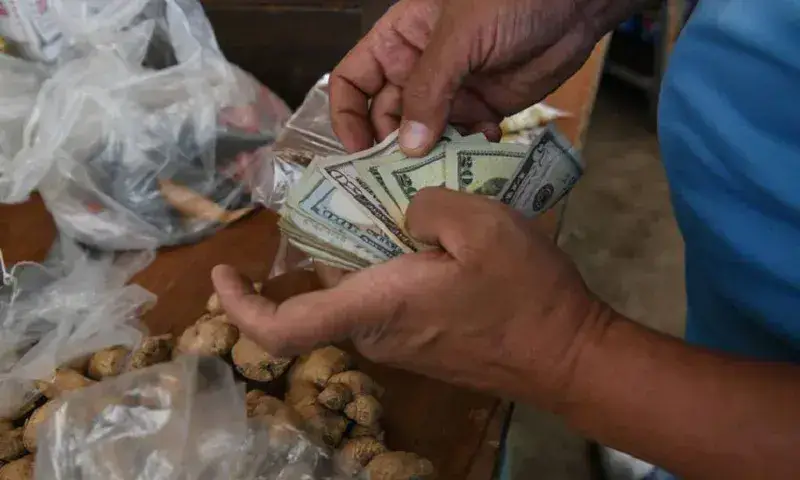 Gobierno estima que economía crezca más de 5 % este año