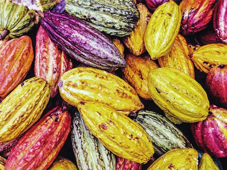 Cocoa extract supplement found to have benefits for cognition in older adults