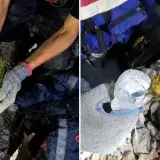 Muere Panchita tras siete días entre escombros en La Guaira