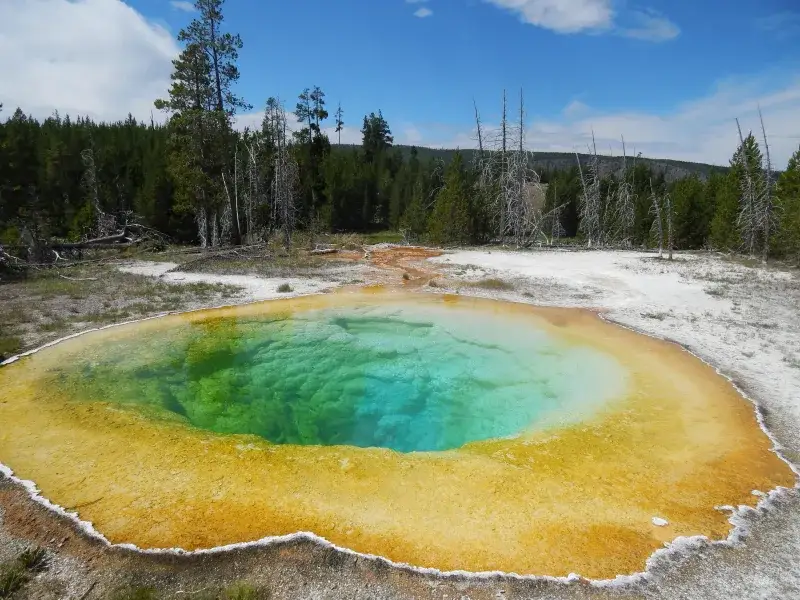 A stunning hot spring with colorful microbial mats in Yellowstone National Park, Wyoming.