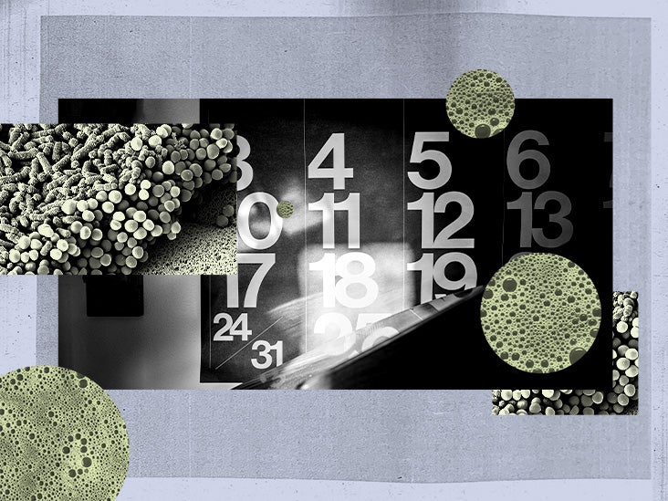 Gut microbiome appears to fluctuate throughout the day and across seasons