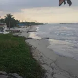 Pdvsa reporta 80 % de áreas saneadas en Carabobo tras derrame en El Palito