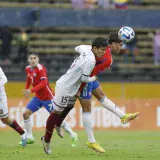 Victoria Vinotinto en Quito
