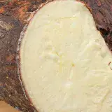 
			Siete niños intoxicados por comer yuca amarga en Maturín		