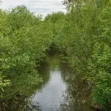 File:Perm asv2019-05 img69 Motovilikha Iva River.jpg