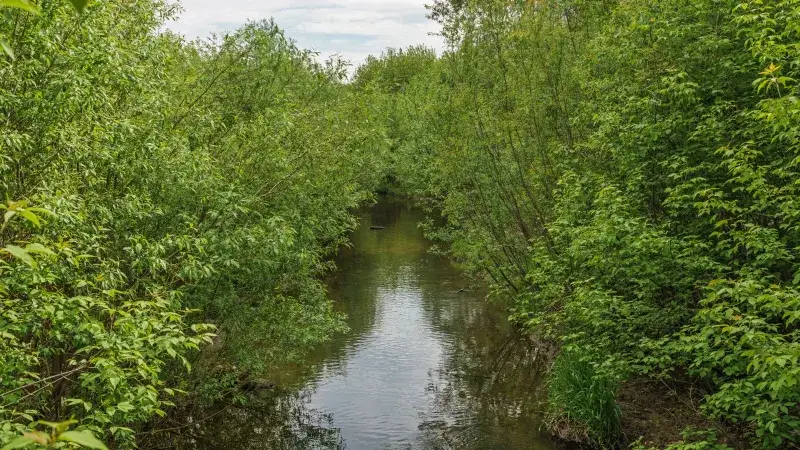 File:Perm asv2019-05 img69 Motovilikha Iva River.jpg