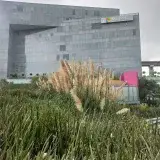 Edificio moderno de Microsoft con exuberante vegetación y cielo nublado en primer plano.