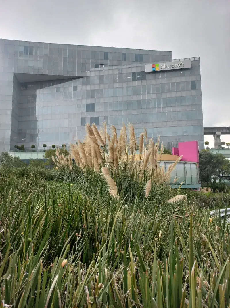 Edificio moderno de Microsoft con exuberante vegetación y cielo nublado en primer plano.