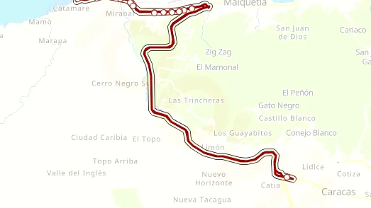 Gato sobrevive 23 días entre escombros en Catia La Mar