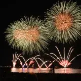 Stunning fireworks illuminate the night sky over a crowded waterfront, capturing the festive celebration.