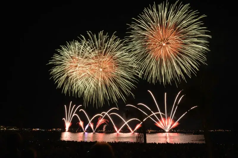 Stunning fireworks illuminate the night sky over a crowded waterfront, capturing the festive celebration.
