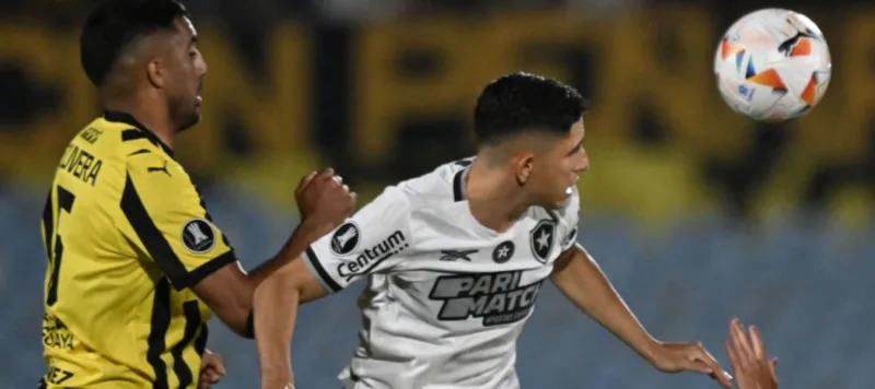 Botafogo de Jefferson Savarino clasificó a la final de la Libertadores