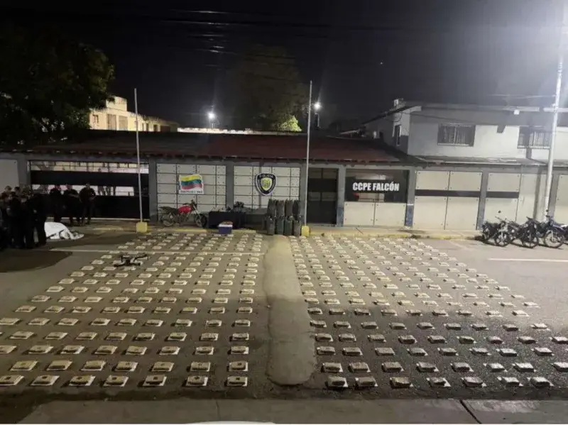 Incautan 359 panelas de marihuana en una zona montañosa del estado