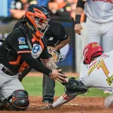 Escogen a Los grandes de la LVBP de la temporada 2023-2024