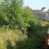 
			Localizan el cuerpo sin vida de un sujeto en estado descomposición en Villa del Rosario		