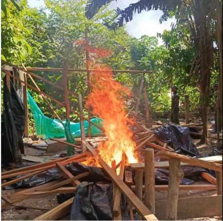 FANB destruyó 65 “cambuches” instalados en el parque Yapacana