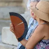 El calor puede alterar neuronas y memoria