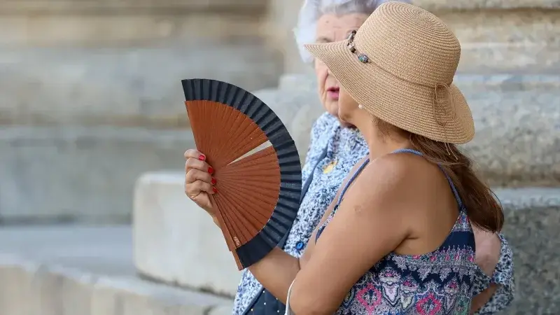 El calor puede alterar neuronas y memoria